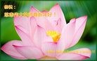 Published on 2/7/2016 ���ֹ�,��½�󷨵��ӹ�ףʦ������(28��)
