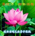 Published on 2/7/2016 ���ֹ�,��½�󷨵��ӹ�ףʦ������(28��)

