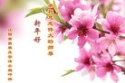 Published on 2/8/2016 ���ֹ�,��½�󷨵��ӹ�ףʦ������(47��)
