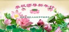 Published on 2/8/2016 ���ֹ�,��½�󷨵��ӹ�ףʦ������(47��)
