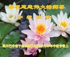 Published on 9/13/2016 ���ֹ�,����ҵ�󷨵��ӹ�ףʦ���������(29��)
