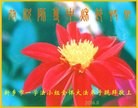 ֹ,ϴ󷨵ӹףʦ(21)

