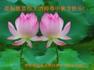 Published on 9/14/2016 ���ֹ�,��½�󷨵��ӹ�ףʦ���������(30��)