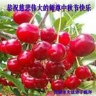 Published on 9/15/2016 ���ֹ�,��½�󷨵��ӹ�ףʦ���������(34��)