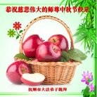 Published on 9/15/2016 ���ֹ�,��½�󷨵��ӹ�ףʦ���������(34��)