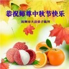 Published on 9/15/2016 ���ֹ�,��½�󷨵��ӹ�ףʦ���������(34��)