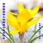 Published on 9/15/2016 ���ֹ�,��½�󷨵��ӹ�ףʦ���������(34��)