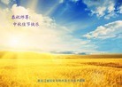 Published on 9/15/2016 ���ֹ�,��½�󷨵��ӹ�ףʦ���������(33��)