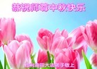 Published on 9/13/2016 ���ֹ�,����ҵ�󷨵��ӹ�ףʦ���������(29��)
