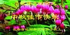 ֹ,󷨵ӹףʦ(26)
