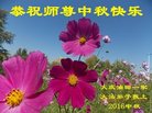 Published on 9/14/2016 ���ֹ�,����ҵ�󷨵��ӹ�ףʦ�������(34��)