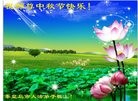 ֹ,ػʵ󷨵ӹףʦ(22)
