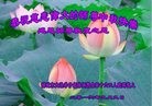 ֹ,Ϋ󷨵ӹףʦ(27)
