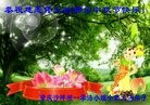 ֹ,󷨵ӹףʦ(26)
