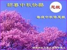 Published on 9/13/2016 ���ֹ�,����ϵͳ�󷨵��ӹ�ףʦ���������(22��)
