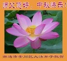 ֹ,մ󷨵ӹףʦ(19)
