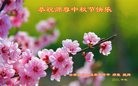 ֹ,ϴ󷨵ӹףʦ(19)
