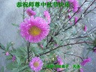 Published on 9/13/2016 ���ֹ�,��½�󷨵��ӹ�ףʦ���������(35��)
