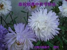 Published on 9/13/2016 ���ֹ�,��½�󷨵��ӹ�ףʦ���������(35��)
