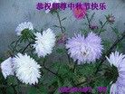 Published on 9/13/2016 ���ֹ�,С���ӹ�ףʦ���������(24��)
