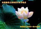 ֹ,󷨵ӹףʦ(25)