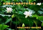 ֹ,󷨵ӹףʦ(25)