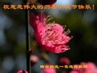 Published on 9/13/2016 ���ֹ�,����ϵͳ�󷨵��ӹ�ףʦ���������(26��)
