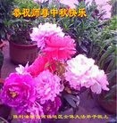 Published on 9/13/2016 ���ֹ�,����ҵ�󷨵��ӹ�ףʦ���������(29��)
