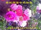 Published on 9/13/2016 ���ֹ�,����ҵ�󷨵��ӹ�ףʦ���������(29��)
