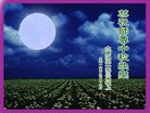 Published on 9/14/2016 ���ֹ�,����ҵ�󷨵��ӹ�ףʦ�������(31��)