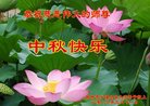 Published on 9/14/2016 ���ֹ�,���󷨵��ӹ�ףʦ�������(28��)