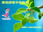 Published on 9/14/2016 ���ֹ�,���󷨵��ӹ�ףʦ�������(26��)