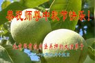Published on 9/14/2016 ���ֹ�,���Ƿ���Ѻ�Ĵ󷨵��ӹ�ףʦ�������(21��)