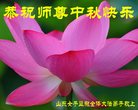 Published on 9/14/2016 ���ֹ�,���Ƿ���Ѻ�Ĵ󷨵��ӹ�ףʦ�������(21��)