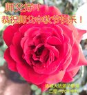 ֹ,Ϋ󷨵ӹףʦ(23)