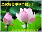 ֹ,󷨵ӹףʦ(24)