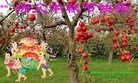 ֹ,ϴ󷨵ӹףʦ(22)