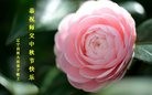 ֹ,󷨵ӹףʦ(21)