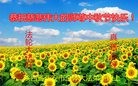 ֹ,󷨵ӹףʦ(23)