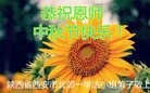 Published on 9/15/2016 ���ֹ�,��½�󷨵��ӹ�ףʦ���������(32��)