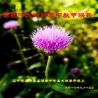 ֹ,󷨵ӹףʦ(25)