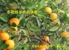 ֹ,ϴ󷨵ӹףʦ(25)