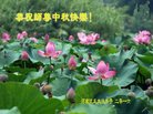ֹ,ϴ󷨵ӹףʦ(25)