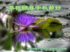 Published on 9/15/2016 ���ֹ�,��½�󷨵��ӹ�ףʦ���������(27��)
