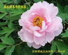 ֹ,ϴ󷨵ӹףʦ(25)