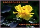 Published on 9/15/2016 ���ֹ�,����ҵ�󷨵��ӹ�ףʦ���������(36��)