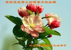 Published on 9/14/2016 ���ֹ�,����ϵͳ�󷨵��ӹ�ףʦ�������(23��)