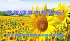 ֹ,ӱ󷨵ӹףʦ(22)
