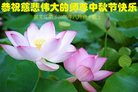 ֹ,󷨵ӹףʦ(19)