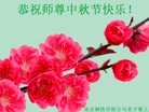 Published on 9/15/2016 ���ֹ�,����ҵ�󷨵��ӹ�ףʦ���������(36��)